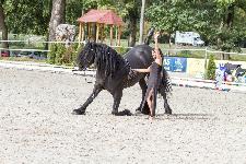 IMG_5683.jpg
