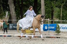 IMG_5741.jpg