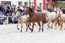 IMG_5744.jpg
