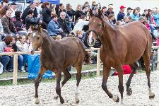 IMG_5762.jpg