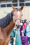 IMG_5793.jpg