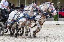 IMG_5839.jpg
