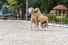 IMG_6002.jpg