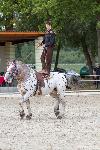 IMG_6200.jpg