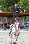 IMG_6205.jpg