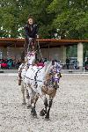 IMG_6221.jpg