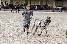 IMG_6462.jpg