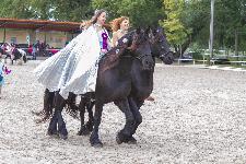 IMG_6472.jpg