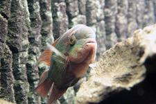IMG_7981.jpg