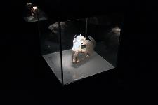 IMG_7990.jpg