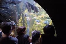 IMG_7994.jpg