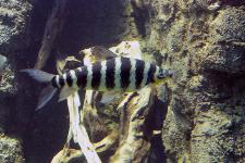 IMG_8007.jpg