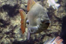 IMG_8012.jpg