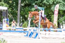 IMG_8903.jpg
