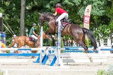 IMG_8917.jpg