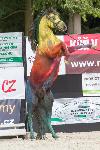 IMG_9166.jpg