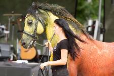 IMG_9176.jpg