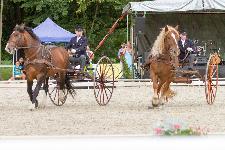 IMG_9280.jpg