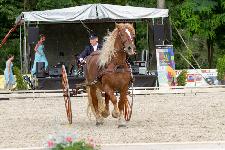 IMG_9287.jpg