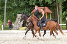 IMG_9411.jpg