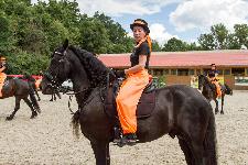 IMG_9468.jpg