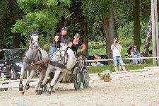 IMG_9643.jpg