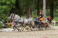 IMG_9654.jpg