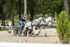 IMG_9676.jpg