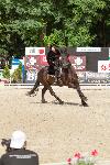 IMG_9761.jpg