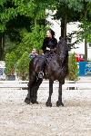 IMG_9786.jpg