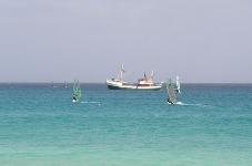 014-Surfari.jpg