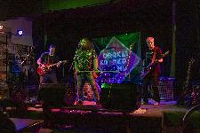IMG_3407.jpg