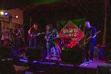 IMG_3411.jpg