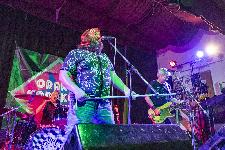 IMG_3565.jpg