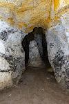 _MG_8695.jpg