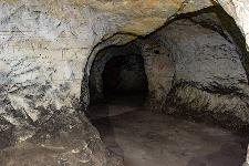 _MG_8699.jpg