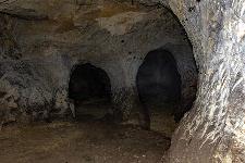_MG_8701.jpg