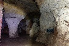 _MG_8712.jpg
