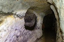 _MG_8718.jpg