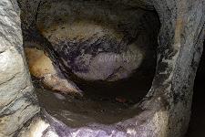 _MG_8720.jpg