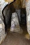 _MG_8721.jpg