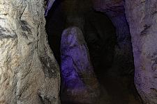 _MG_8723.jpg