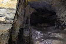 _MG_8729.jpg