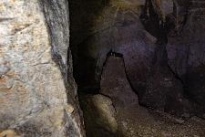 _MG_8731.jpg