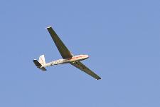 IMG_9215.jpg