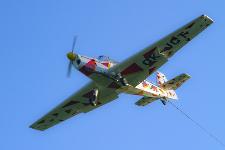 IMG_9251.jpg
