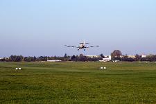 IMG_9263.jpg