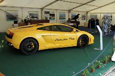 IMG_5113.jpg