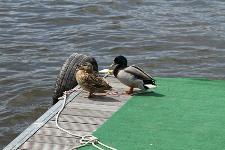 IMG_5122.jpg