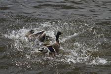 IMG_5147.jpg